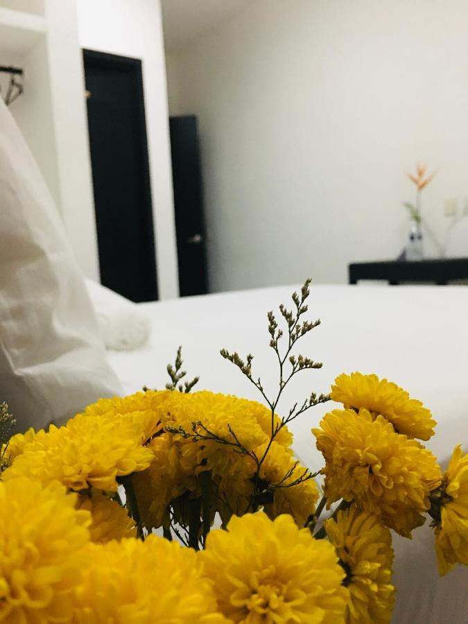 מלון פוארטו אסקונדידו Casa Tacuba מראה חיצוני תמונה